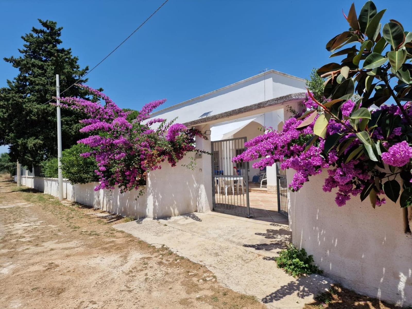 Villa Carmela A San Pietro In Bevagna Exterior foto